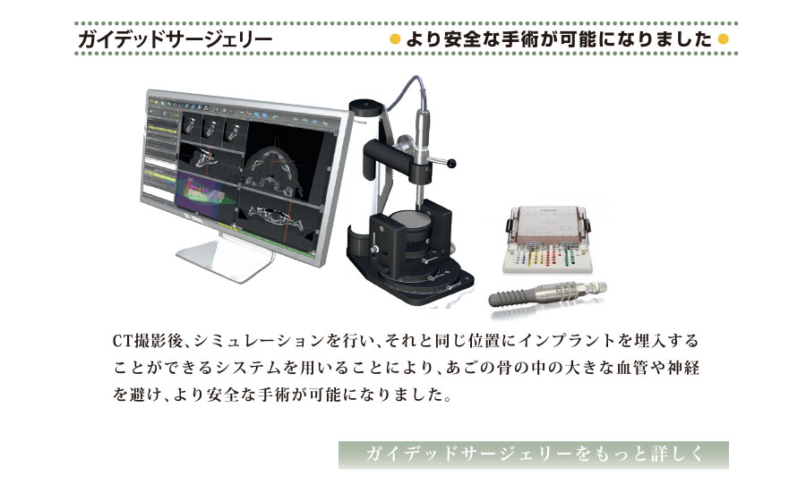 ガイデッドサージェリー